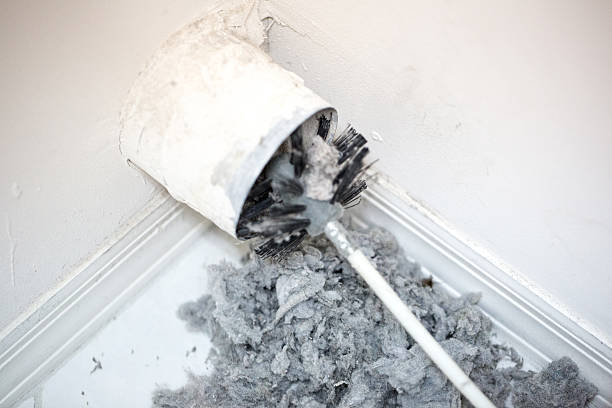 Best Affordable Air Duct Cleaning  in Apopka, FL